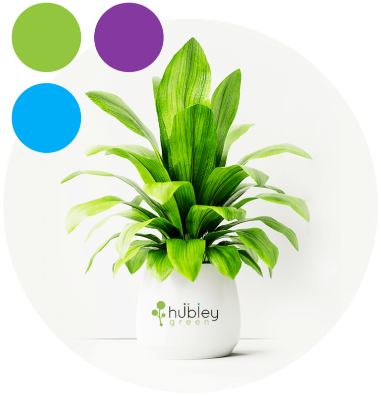 Modern SharePoint Intranet | hubley